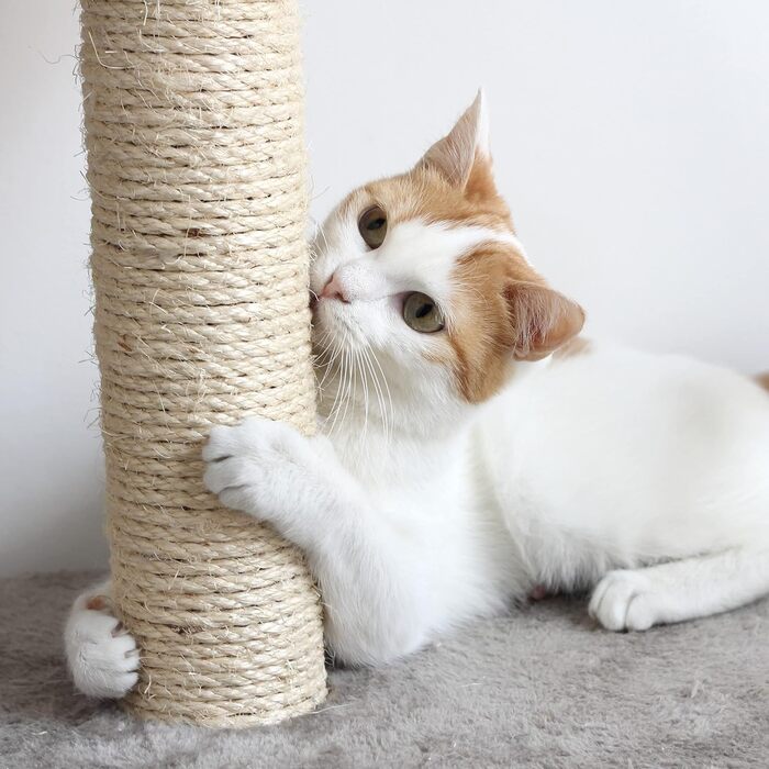 Дряпак для котів PETMAKER, 3 стовпи з килимовим покриттям, ігровий майданчик та сідало, захист меблів, для домашніх котів, великий, коричневий