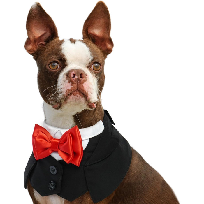 Елегантний ошийник для собак з метеликом для весілля, Soking, День святого Валентина, День народження - костюм для собак, одяг для котів (S, чорний)