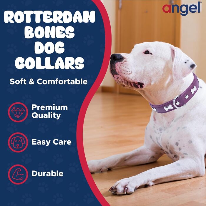 Шкіряний нашийник для собак Angel Pet Supplies, подвійний, фіолетовий, з кісточками, регульований, 29-36 см, преміум якість