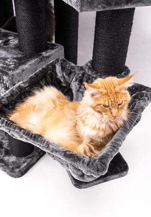 Дряпка для котів Petrebels Maine Coon XXL Alley 200 см, преміум, для великих котів, чорна