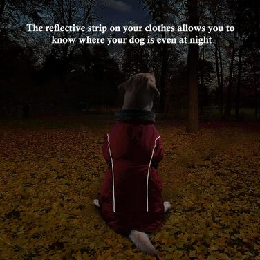 Водонепроникний теплий піджак для собак середнього розміру DENTRUN, теплий зимовий піджак для собак з флісовою підкладкою, червоний