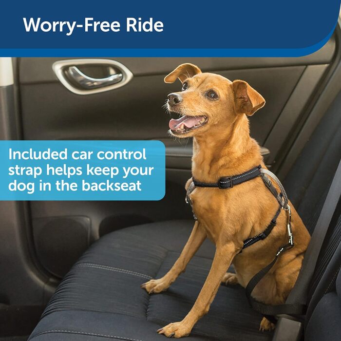 PetSafe 3-в-1 шлея для собак, з двоточковим повідцем, проти ривків, розмір S, чорна, регульована