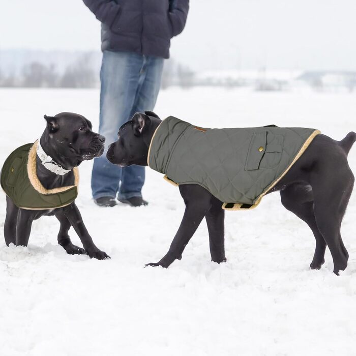 Зимовий теплий одяг для собак Citétoile: куртка з флісу для чихуахуа, такси та інших порід, сірий колір, розмір XS