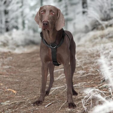 Шлейка для собак FEimaX для великих собак, тактична, не тягне, чорна, XL. Зручна, дихаюча, міцна, з м'якою підкладкою
