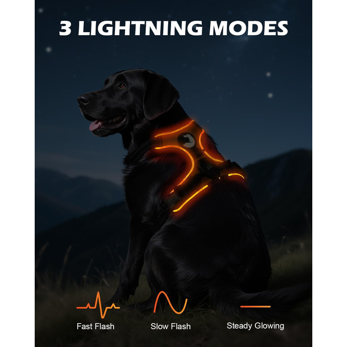 Світловідбиваючий нашийник для собак Joytale з LED, для середніх та великих собак, без натягування, з ручкою, регульований, для нічних прогулянок, зелений/помаранчевий, M/XL