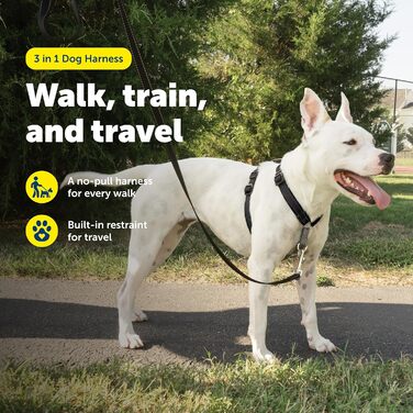 Шлейка для собак PetSafe 3в1, регульована, протитягальна, чорна, середній розмір (упаковка з 1 шт.)