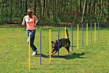 Karlie Agility Slalom - іграшка для аджиліті, жовто-блакитна