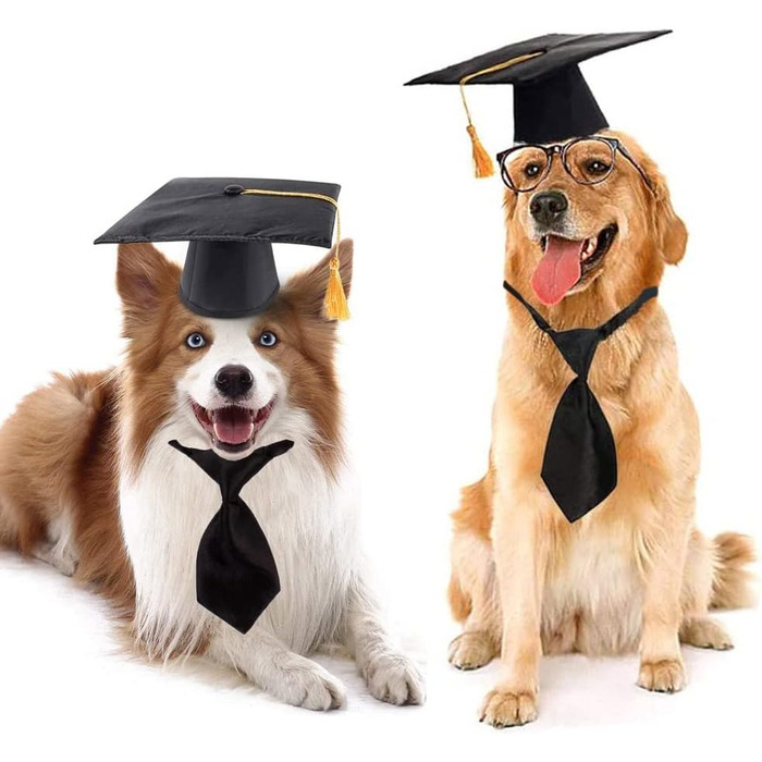 Кепка для домашніх тварин AHEOVSD з бантом на шиї, чорна, поліестер. Кепка для собак та котів, аксесуар для костюмів на відпочинок