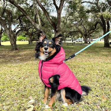 Ветровка для собак Pawtitas: вітронепроникна, водовідштовхувальна, тепла, для цуценят та великих порід, з кишенею, чорно-блакитно-зелена, XX-Large (1 шт.)