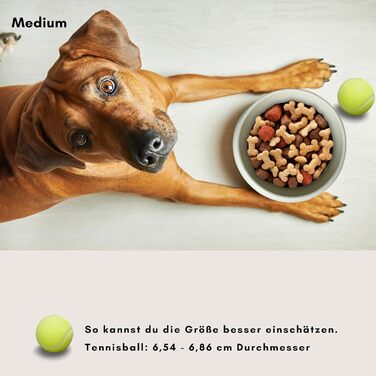 Керамічна миска для собак Hej.mo | 16 см, 0.9 л | Міцна, миється в посудомийній машині, стійка до подряпин та укусів | Для собак середніх порід (Крем)