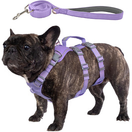 Нашийник для собак Wuffley з повідком, безпечний, анти-тяга, з ручкою, світловідбиваючий, регульований, для середніх собак (Lila, M)