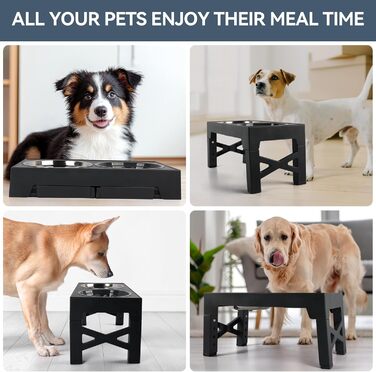 Підвищений годівниця для собак PAWISE, 5 рівнів регулювання, для собак маленьких, середніх та великих порід, з двома великими мисками з нержавіючої сталі, антиковзаюча, BPA free пластик