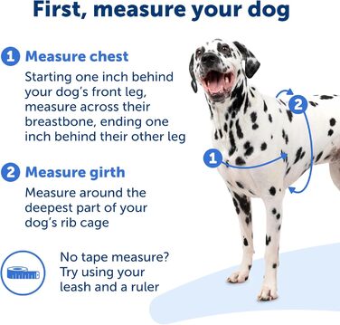 Шлея для собак PetSafe Easy Walk, анатомічна