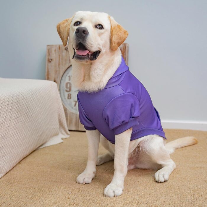 Пуловер для собак Kooltail Basic з капюшоном – теплий та м'який, з отвором для повідка та кишенею, зимовий одяг для собак, кошенят, дівчаток та хлопчиків, X-Large (фіолетовий)