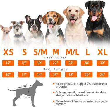 Пуловери для собак PUPTECK: теплі, класичні, для будь-якої породи – для цуценят, зимові, унісекс