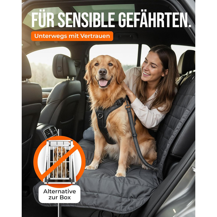 Автомобільний повідок для собак 'Argo' – регульований безпечний повідок з амортизацією та ISOFIX – для всіх порід собак (Розмір S) (Чорний, L (63-87 см))