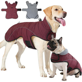 колір: гниль