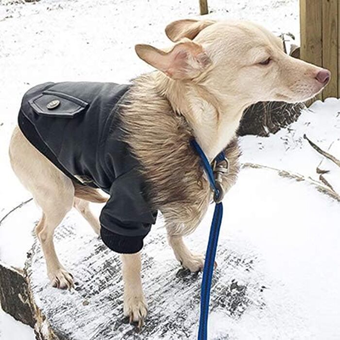 Зимова куртка для собак Namsan з натуральної шкіри, чорна, розмір M, водонепроникна