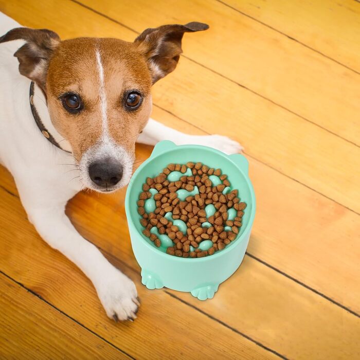 Підвищені миски для котів Heyu-Lotus: нахилені, для повільного годування, ергономічні, для корму та води