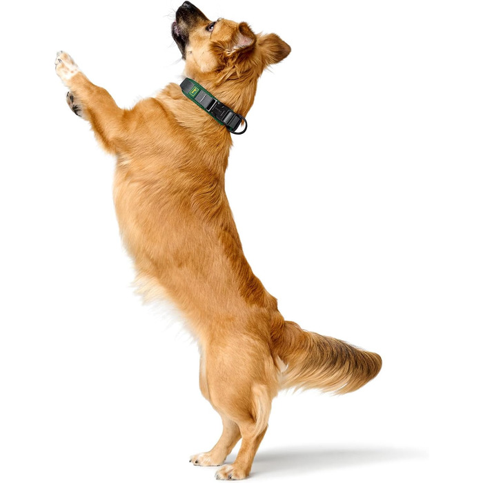 Крісло HUNTER Hasband Madon: дихаюча сітка, міцний нейлон, гіпоалергенне, з підлокітниками, адресна панель, розмір XL, зелене