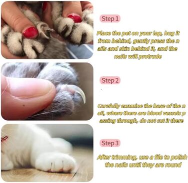 Кусачки для обрізання кігтів собак та котів, нержавіюча сталь, професійний інструмент для грумінгу з захистом від перерізання, гостра клинка