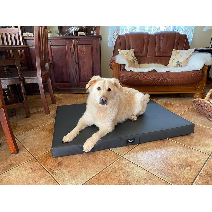 Килимок для собак Tina Grosse - лежанка для собак середніх та маленьких порід. Лежанка для собак з еко-шкіри, миється, водонепроникна, м'яка, довговічна, зносостійка, міцна (XXXL, 150x100x8 см, антрацит)