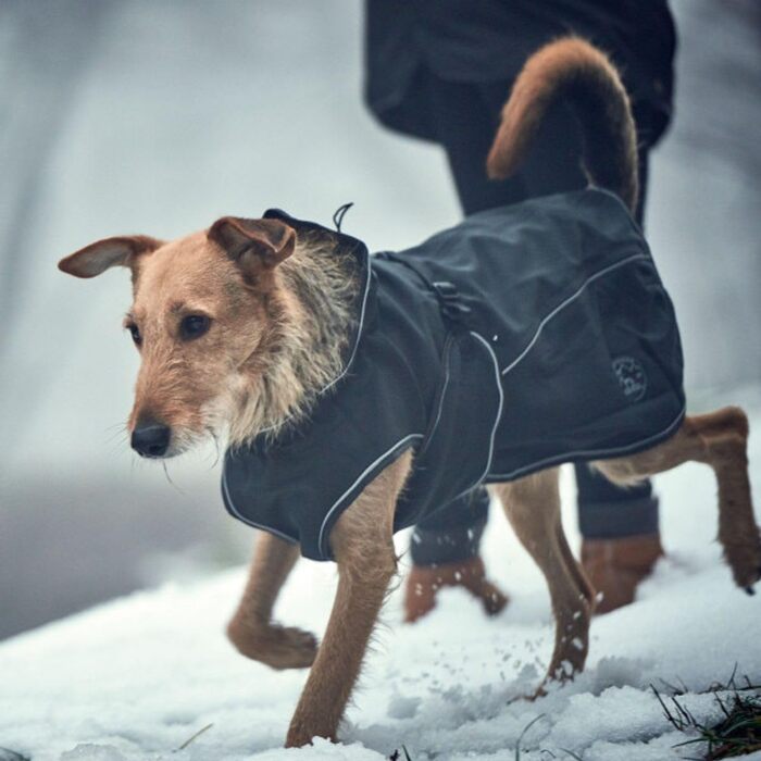HUNTER UPPSALA Softshell куртка для собак, функціональна, 40 см, чорна