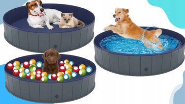 Складаний басейн для собак Wobell, сірий, 100x30 см, 230 л