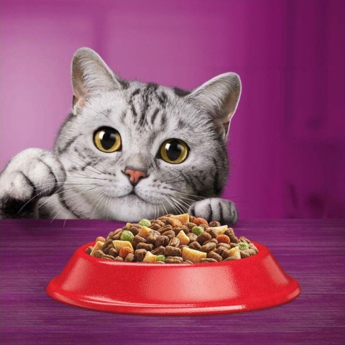Сухий корм Whiskas Karma з яловичиною, 14 кг