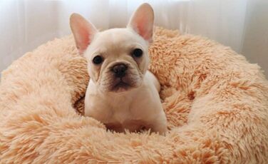 Розкішне собаче ліжко з м'якого хутра, машинне прання, самонагріваюче, з м'яким подуванням для середніх та великих собак та котів (XXXL: 120 см, світло-коричневе)