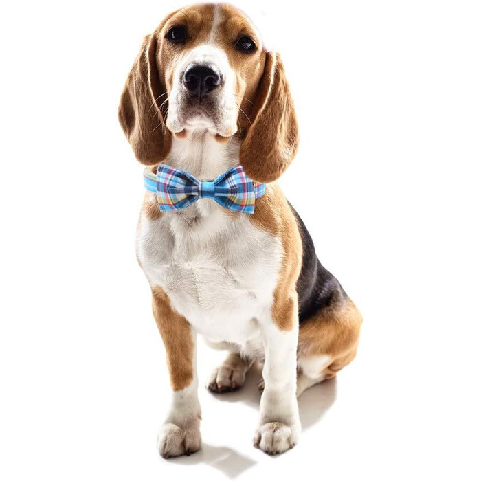 Елегантне собаче намисто з відстібаною метеликом, регульоване намисто з бантиком для собак та котів, XX-XL (XS, Синій сітка)