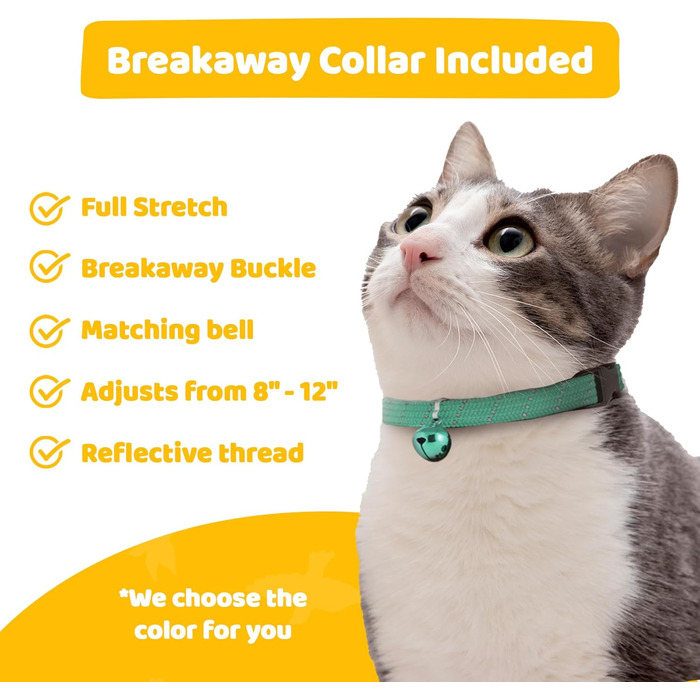 Захисний чохол Birdsbesafe для котячого нашийника