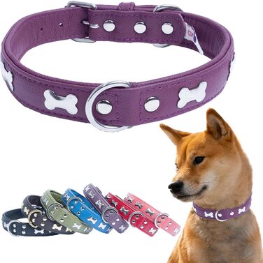 Шкіряний нашийник для собак Angel Pet Supplies, подвійний, фіолетовий, з кісточками, регульований, 29-36 см, преміум якість