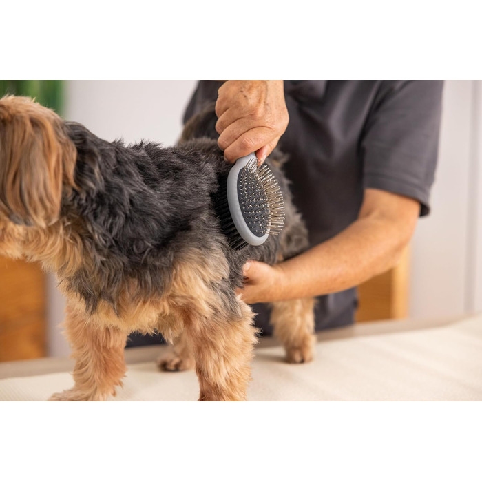 Двостороння щітка Wahl для собак і котів 2 в 1, професійний догляд, видаляє ковтуни, зелена