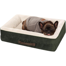 колір: олив