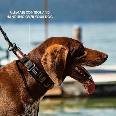 Нашийник для собак EzyDog Checkmate - нашийник-стоппер для собак, навчальний нашийник для дресирування. Підходить для великих, середніх та малих собак (S, чорний)