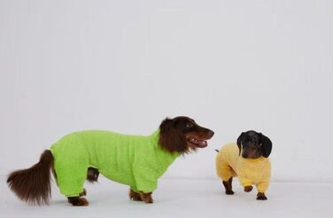 Теплий флісовий комбінезон для собак з мотивом такси, флісовий светр, підходить для такс, зимовий, м'який, зручний, піжама для собак, одяг (темно-зелений, розмір M), темно-зелений (XS(2.5kg), світло-зелений)