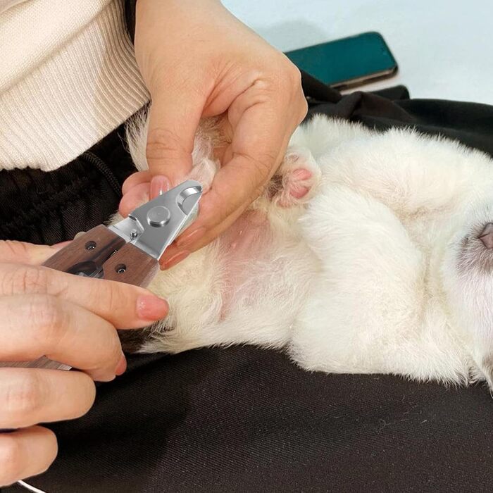 Ножиці для догляду за тваринами Happyyami: безпечні ножиці для котів та собак, ергономічний дизайн