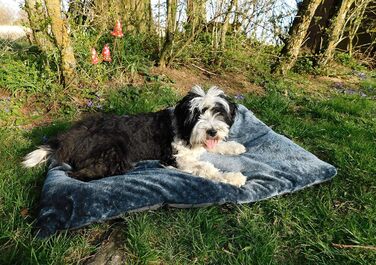 Кілимок для собак Zollner, 60x90 см, сірий, з поліестеру, знімне покриття, переносний