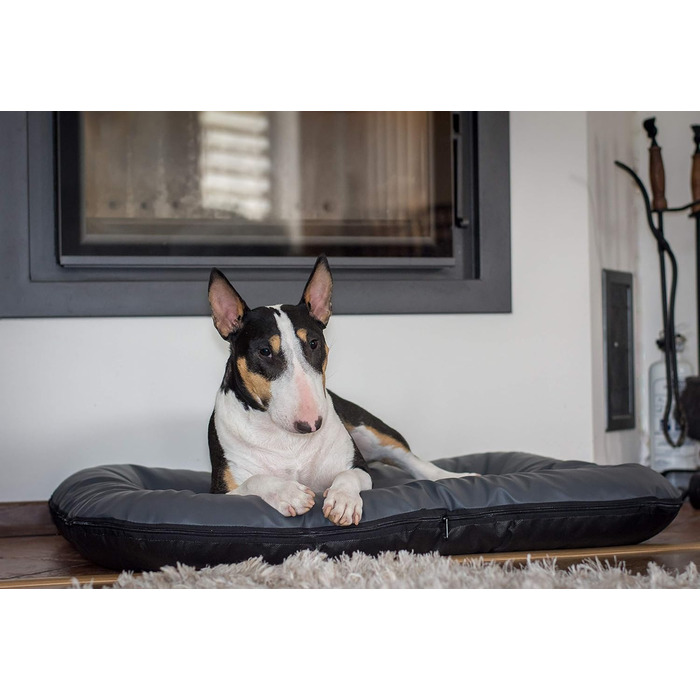 Крісло-ліжко для собак середніх порід Ella від 4L Textil: водостійке, з штучної шкіри, 90x70 см, графіт