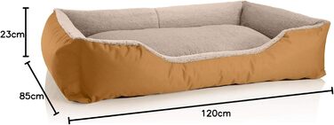 Ліжко для собак BedDog Teddy, м'яке диван-ліжко з Cordura та мікрофібри, зручне ліжко з бортиками, подушка для собак, квадратна форма, для дому та вулиці, розмір XXL, колір золотисто-бежевий GOLDEN-SAND, 120 x 85 x 23 см
