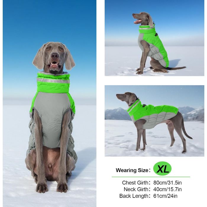 Зимова куртка для собак, тепла, водонепроникна, вітронепроникна, флісова, для прогулянок та походів (Small, неоновий зелений)