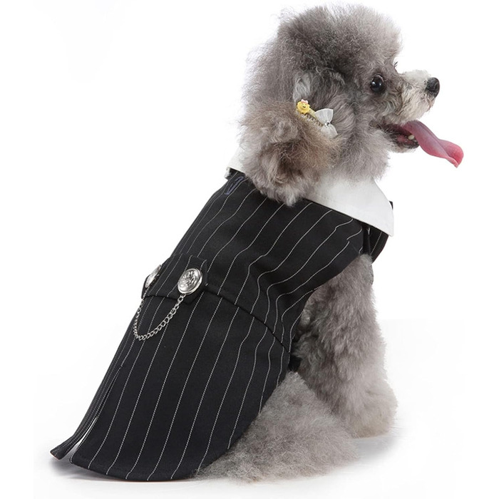 Елегантний костюм для собак Qcwwy: класичний вечірній наряд для собак (M)