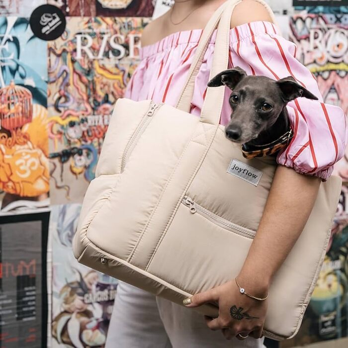 Сумка-переноска для собак та котів Joyflow | 6 кг | м'яка переноска з безпечним кліпом | для подорожей літаком та автомобілем | дизайн Європа | бежева