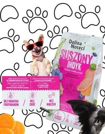 Сухий корм для собак Dolina Noteci Premium з індичкою, 9 кг