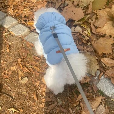 Зимовий теплий водонепроникний та вітронепроникний теплий зимовий одяг для собак з флісу (D-Ring), для малих, середніх та великих собак (Світло-блакитний, XXL)