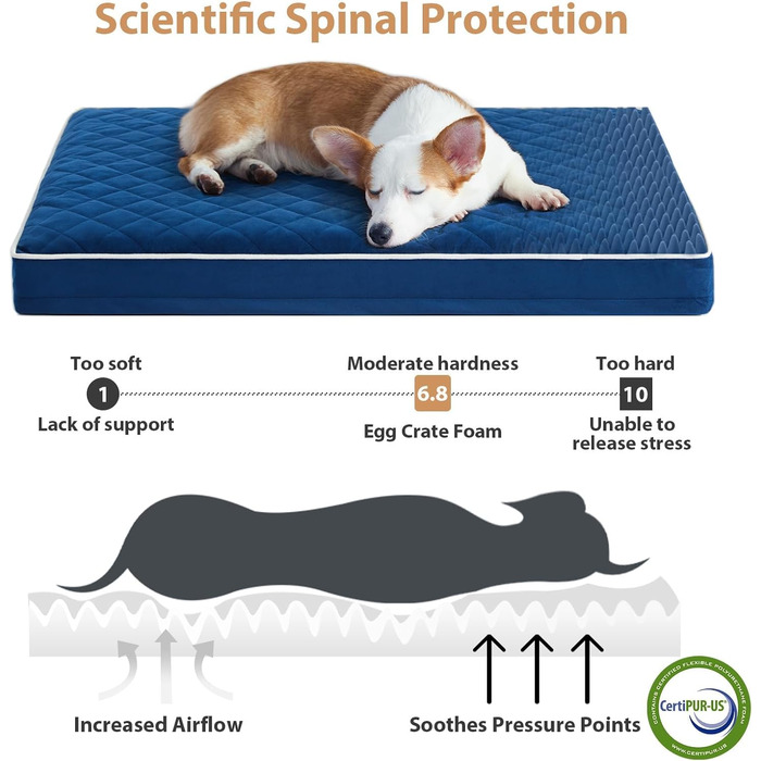 Ортопедичне собаче ліжко WNPETHOME XL, велике, вологостійке, знімний, пральний чохол, протиковзна підкладка, блакитне, 104 x 69 x 10 см