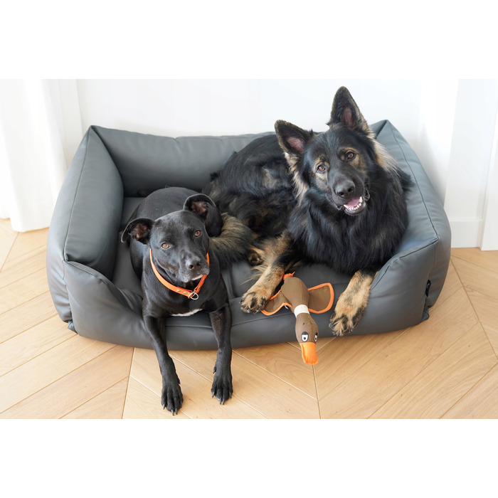 Текстильне ліжко для собак, сіре, 100 x 70 см, розмір 4L