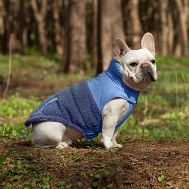 Зимовий теплий жилет для собак з інтегрованим шлейкою, водо- та вітронепроникний, світловідбиваючий, зручний, регульований (Блакитний, 3XLP, обхват грудей 55 см)