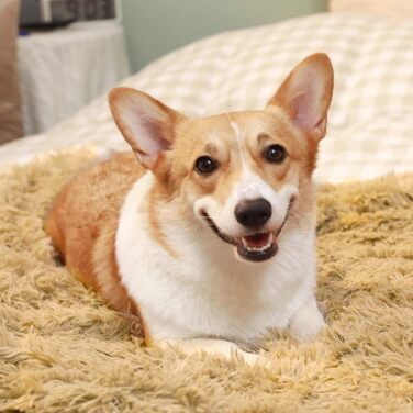 М'яка ковдра для собак та котів: флісова підстилка для тварин, 75 x 100 см (Бежева)